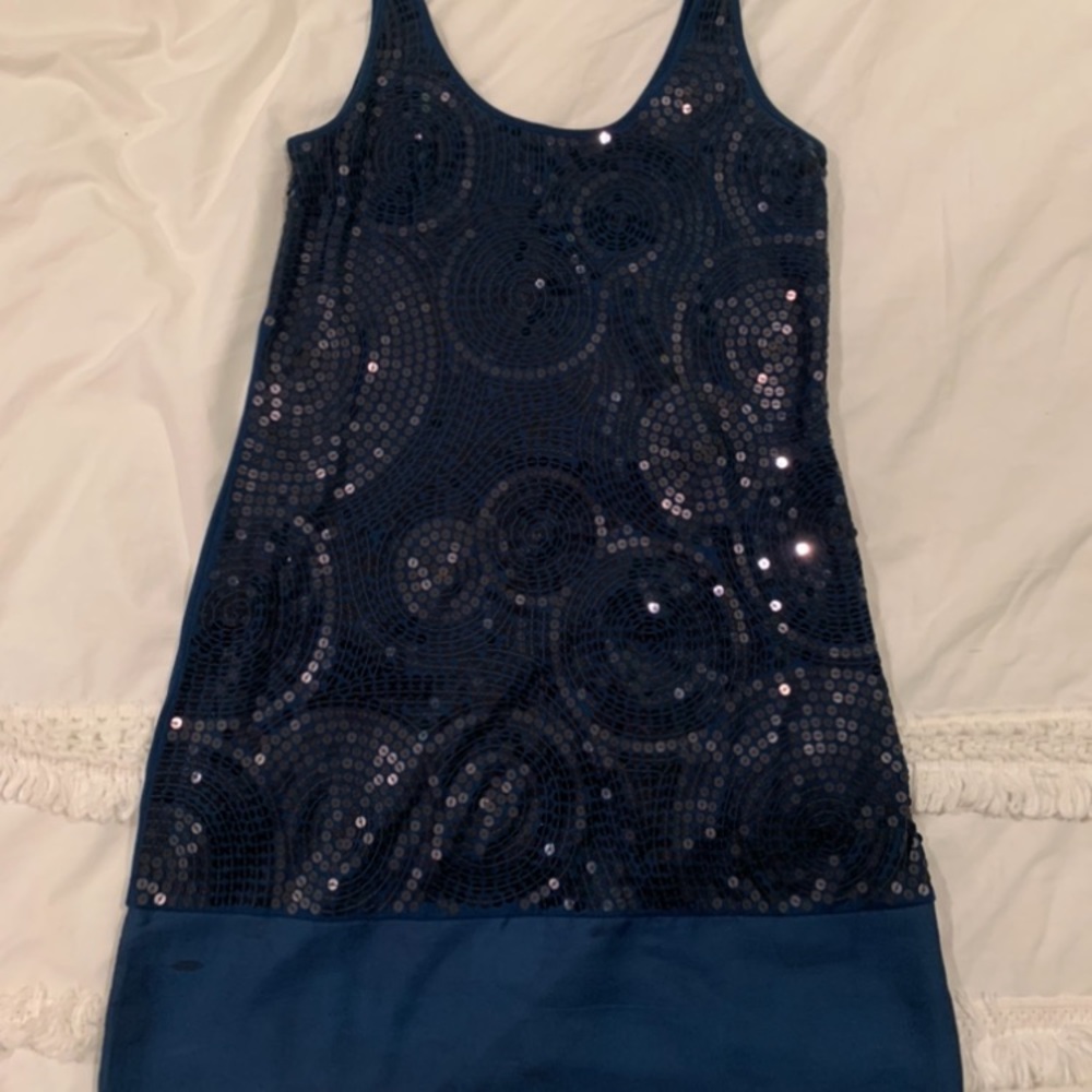 Express sequin dress